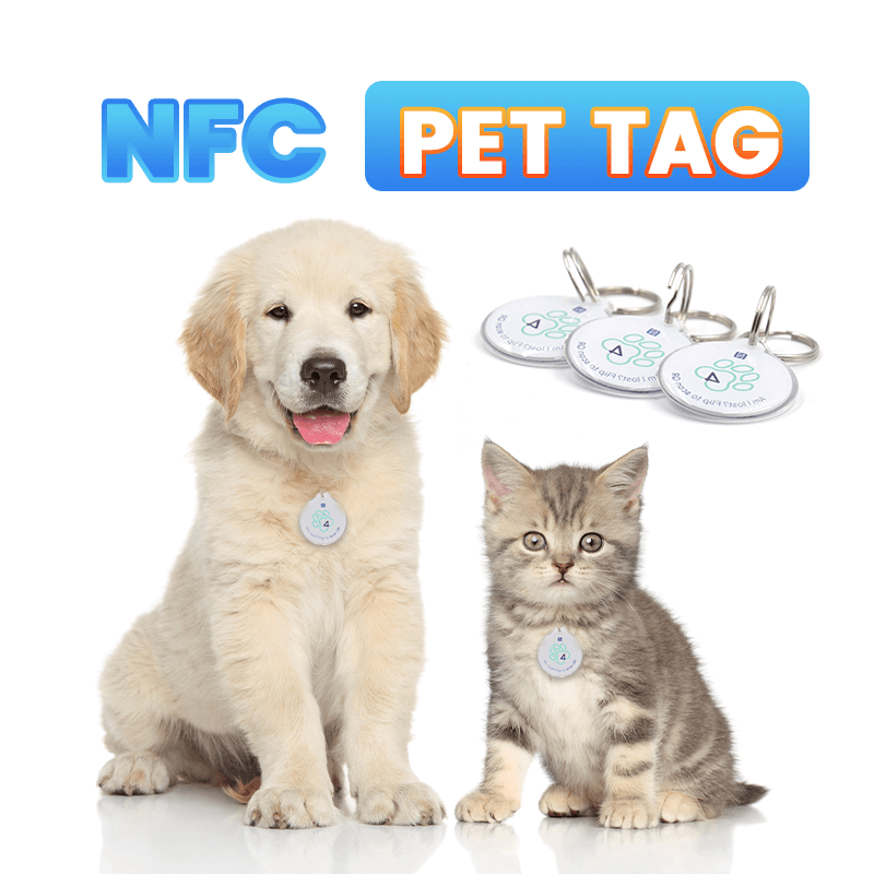 Etiqueta de identificación de perro mascota NFC de epoxi con código QR inteligente personalizado de 13,56 MHz