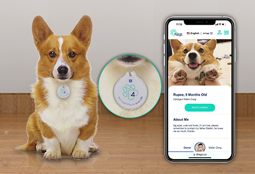 La aplicación de la tecnología NFC en mascotas
