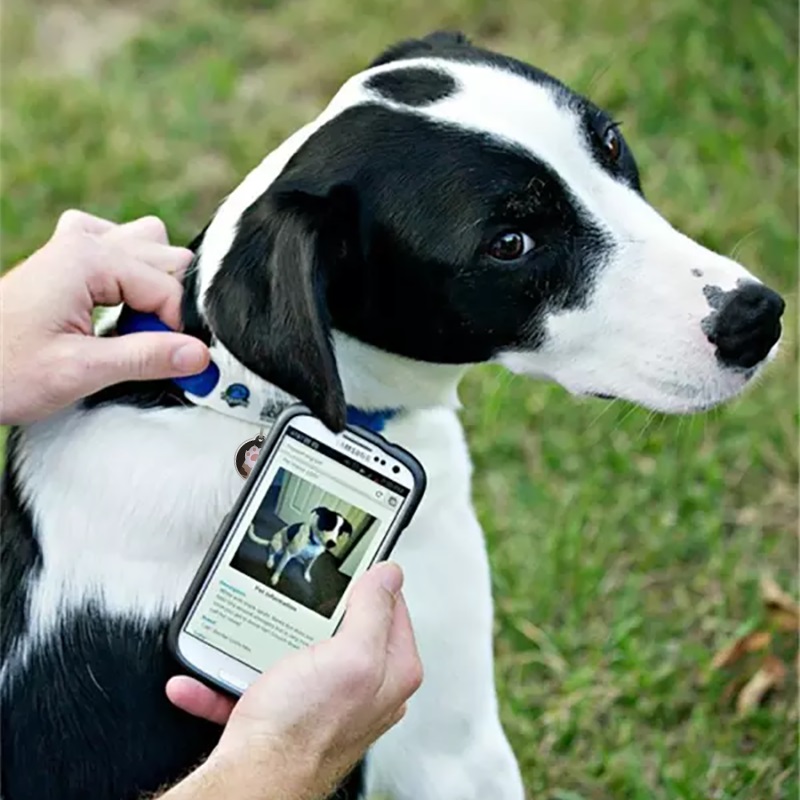 Fabricante de etiquetas de identificación para perros PET con código QR NFC inteligente epóxico a prueba de agua